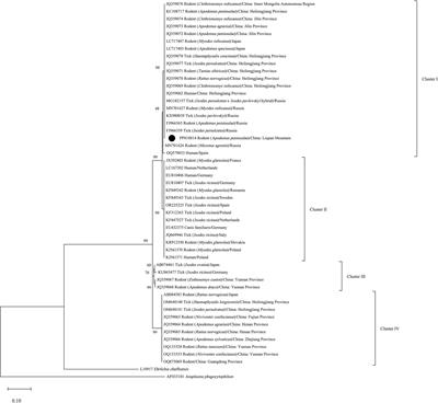 Detection and phylogenetic classification of Neoehrlichia mikurensis in rodents from the region of Liupan Mountain, China